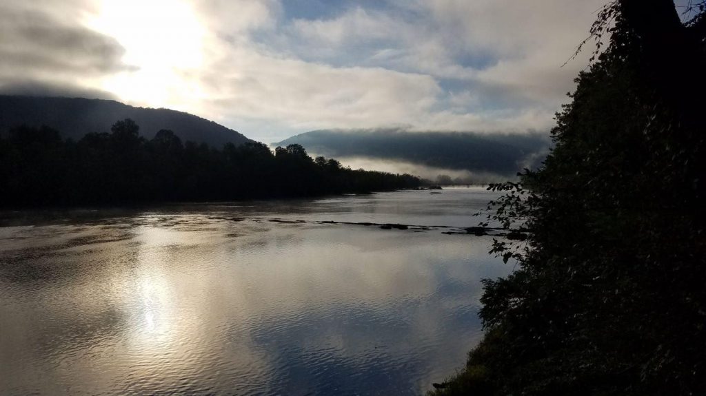 Cropped Beautiful Wd Water Pic 1024x575