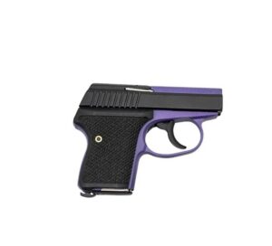 https3a2f2fmedia.chattanoogashooting.com2fimages2fproduct2fsklws380brpurw2fsklws380brpurw.jpg