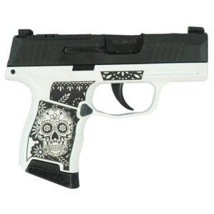 https3a2f2fmedia.chattanoogashooting.com2fimages2fproduct2fxi681228sswb2fp365 9mm 3 1 blk strkr xray3 optic ready 2mag sugar skull xi681228sswb right