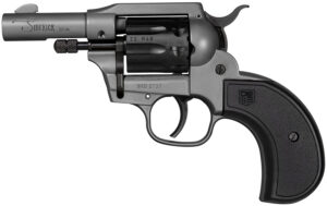 DIA DB0600A051 22LR/WMR SDKCK BIRDSHD 3 9R GRY