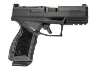 GX4 Carry 380 ACP 3.7" Blk (2) 15-rd